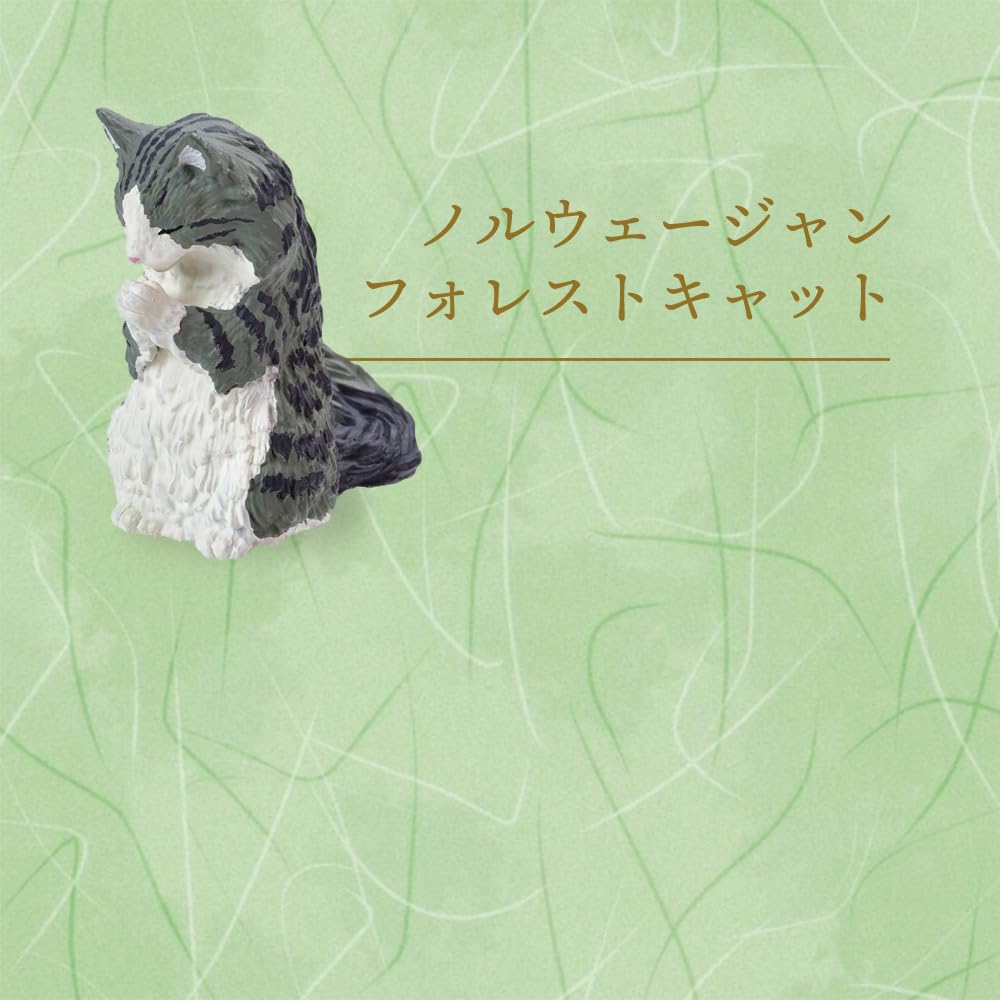 [Набор из 5 шт.] Гача Гачапон Полный набор Фигурка Игрушка Содержание Животное Кошка Милый [Гассё Такуми ~Поклонение кошкам~ Часть 2] Экзотический Манчкин Калико Шотландский