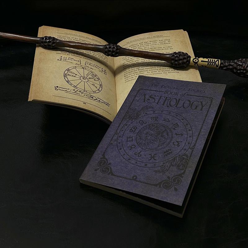 Книга «Зачарованные» Учебник по травоведению Книга по астрологии Винтажный скрапбукинг Журнал Записи Заклинаний История Книга Заклинаний Подарок Детям