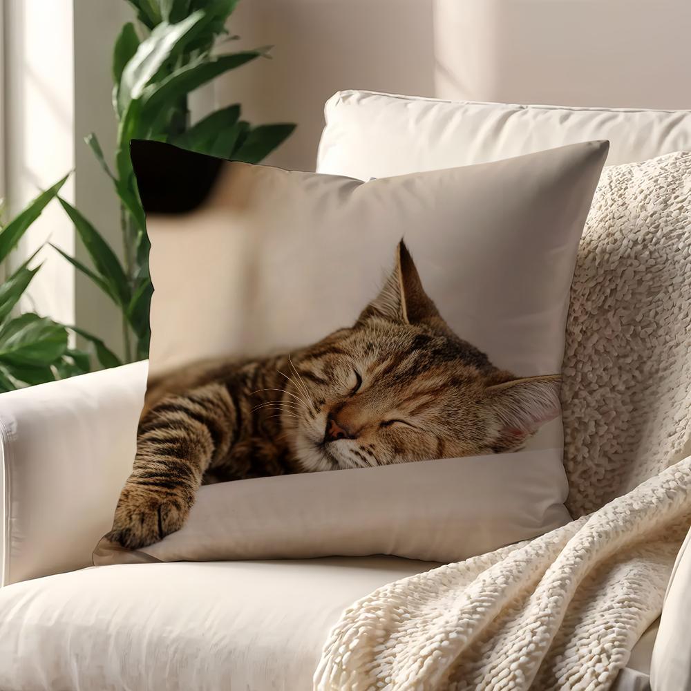 Милая Кошка Чехол на Подушку Для Подушки Печать Декорация Дивана Дом Автомобиль Комната Кофейня Офис Нордическая Простота