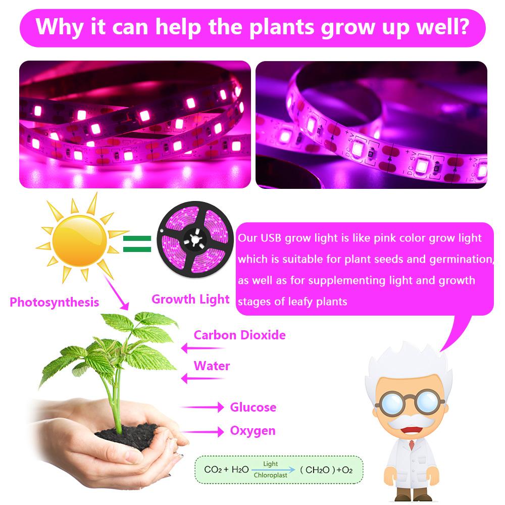 Фитолампа полного спектра USB 5 В светодиодная лента для выращивания растений 2835 SMD растение цветок светодиодная комнатная теплица семена Cultivo гидропоника