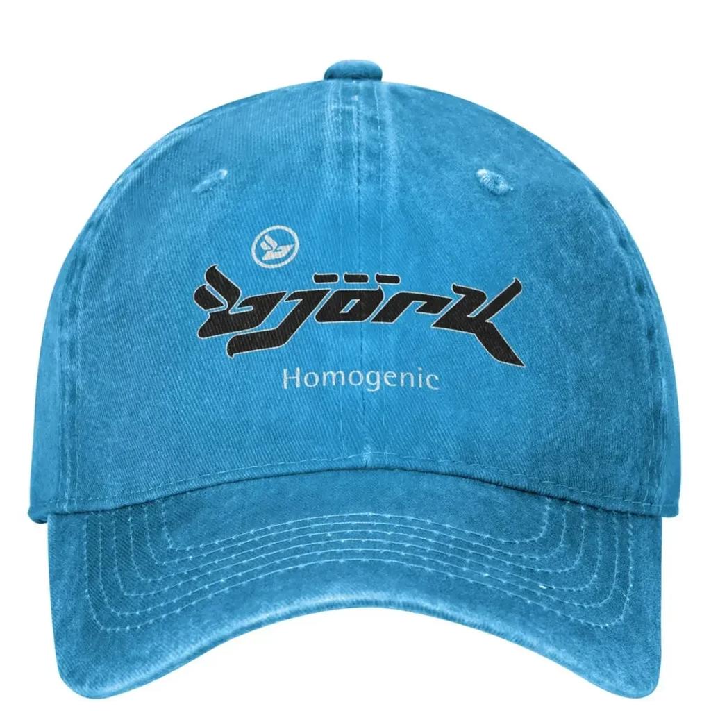 Casual Bjork Homogenic Logo Black White Baseball Caps Unisex Women Distressed Denim Snapback Hat Outdoor Running Golf