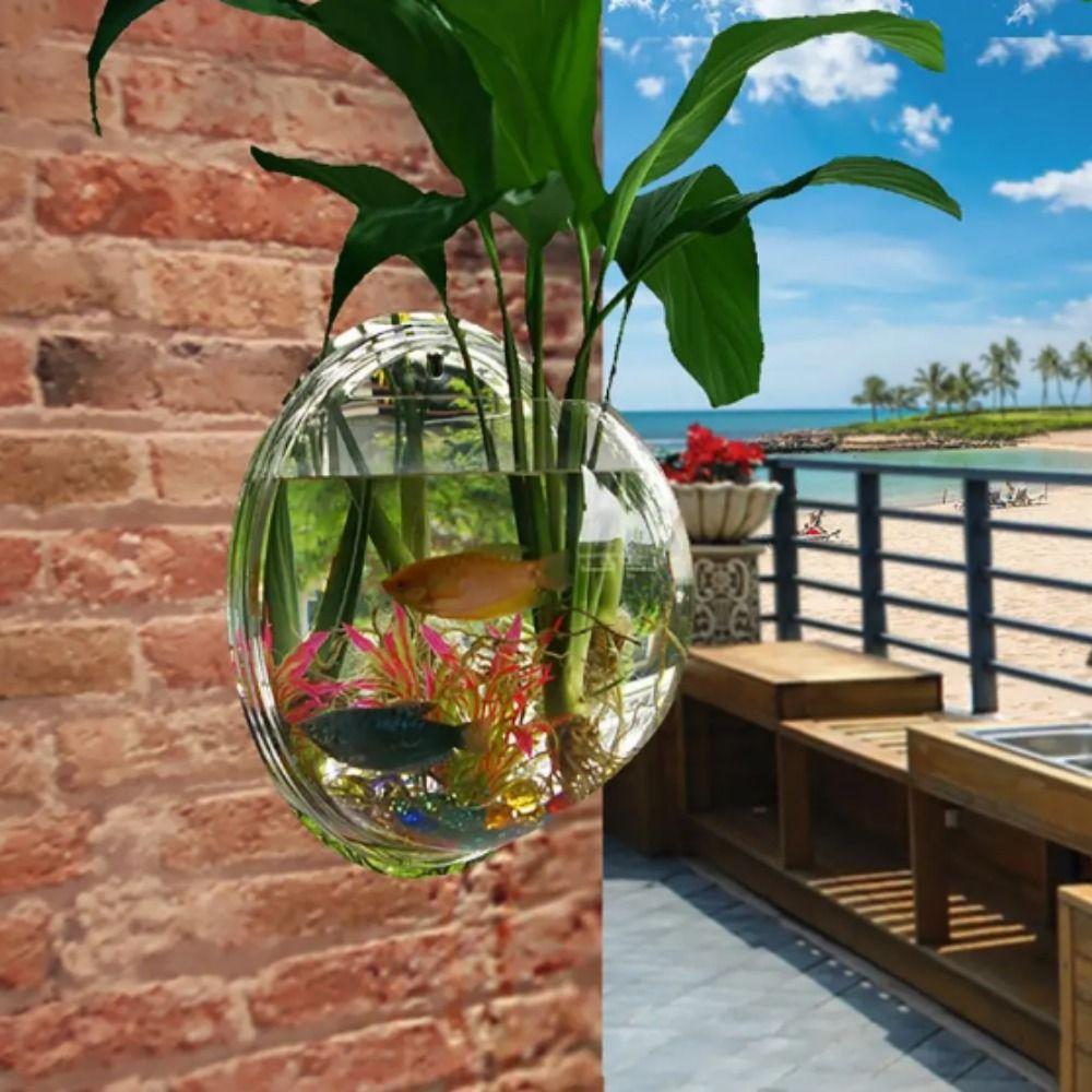 Акриловый настенный аквариум полусферической формы, подвесной аквариум для петушков, украшение для офиса