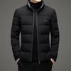 Men's White Duck Down Down Jacket Winter New Men's Middle-aged Thickened Stand-up Collar Short Casual Warm Jacket