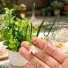 Colorful Artificial Lily Flower Rod Flexible Garden Stakes Micro Landscape DIY Garden Yard Arrangement Decorations Supplies