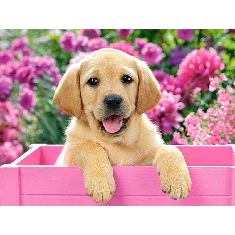 5D DIY алмазная живопись кошка Алмазная вышивка животная ферма вышивка крестиком полная круглая дрель мозаика стразы домашний декор настенный подарок