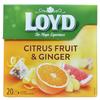 Травяной чай LOYD Цитрусовые фрукты Имбирь 40 г x Набор из 2 & (2г 20)