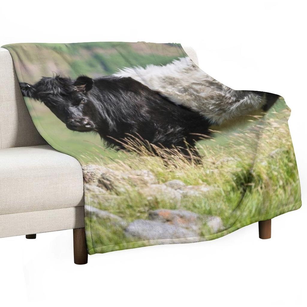 Belted Galloway Cow Throw Blanket Fashion Sofas Soft Big Extra Large Throw decorative Blankets