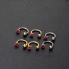 Jewelry 6mm/8mm Stainless Steel Cubic Hoop Cartilage Ring Nose Ring Ear Piercing