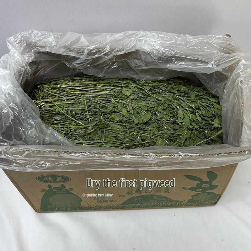 Alfalfa Hay for Rabbits, Chinchillas, Guinea Pigs, & Dutch Pigs – Dried Pet Feed