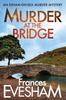 The Murder At the Bridge Book