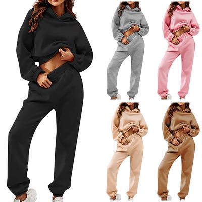 Женский однотонный и зимний костюм из двух предметов: толстовка с длинными рукавами и брюки, свободного кроя, в стиле кэжуал