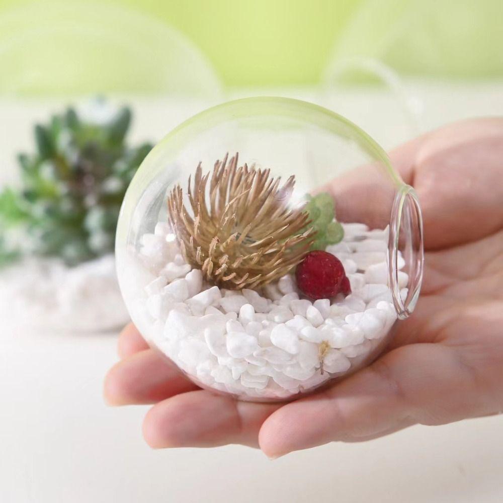 Террариумный контейнер, бутылка для цветов, суккулентное растение, ваза для гидропонных растений