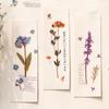1 Pack 12 Designs Flowers Leaves Album Diary Scrapbooking Supplies PET Stickers Transparent