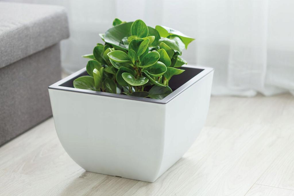 Muna 35 Round Flowerpot | Anthracite