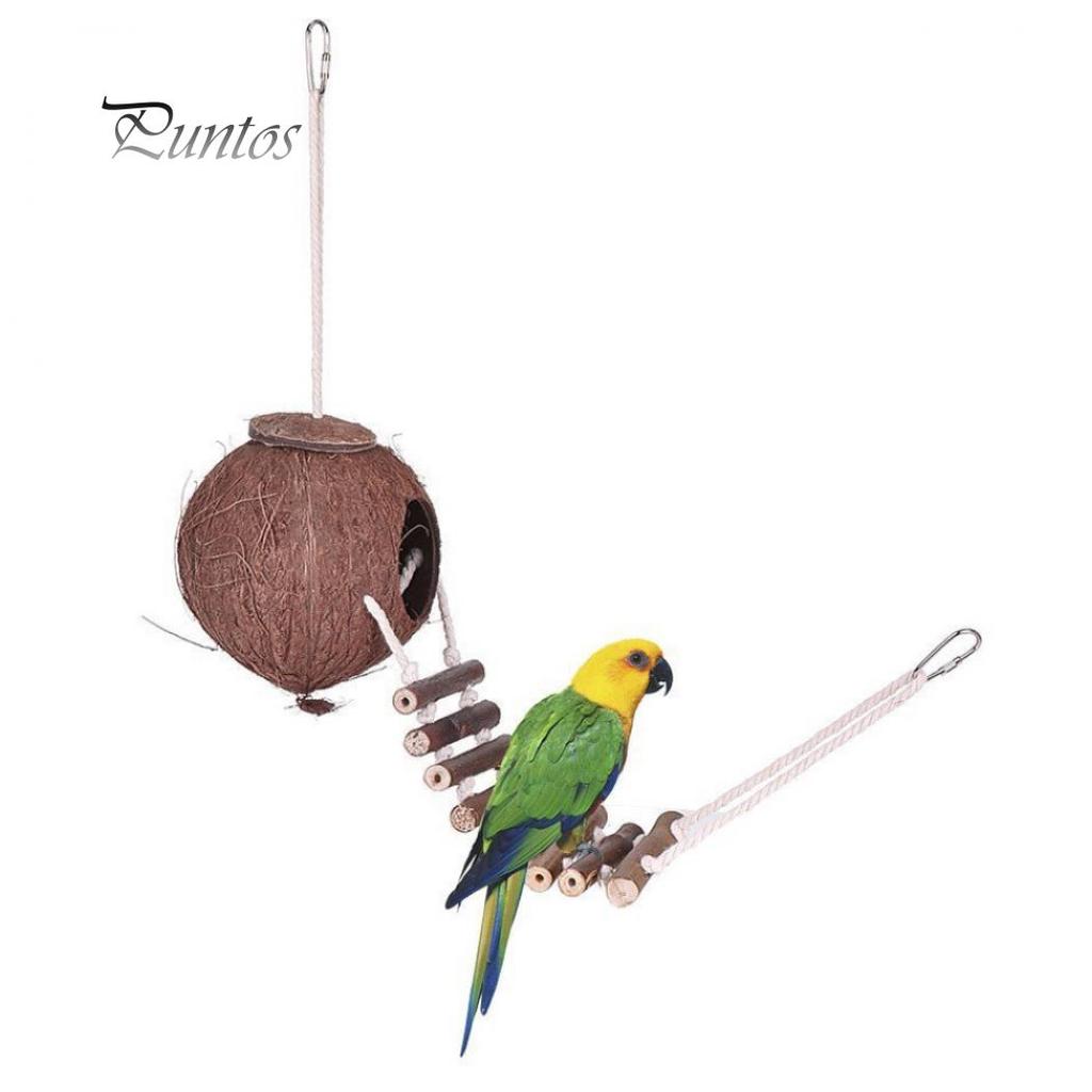 Natural Coconut Shell Parrot Nest Parakeet Birds Feeder Pets Toy with Ladder