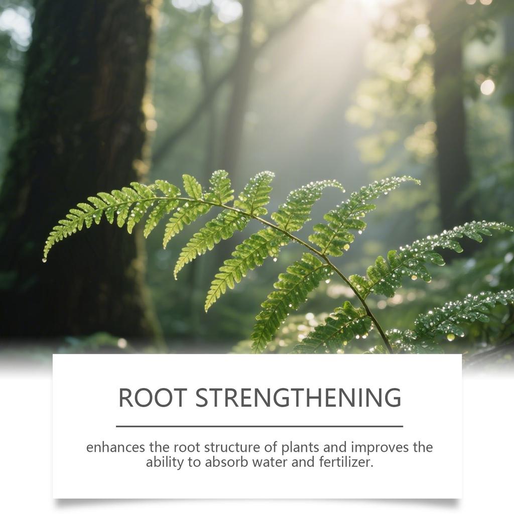 Удобрение для растений - Удобрение для комнатных растений, 100 мл Питательные вещества Натуральный раствор Удобрение для растений В помещении, для Сада На улице Дерева Цветка Листвы Плода Овоща