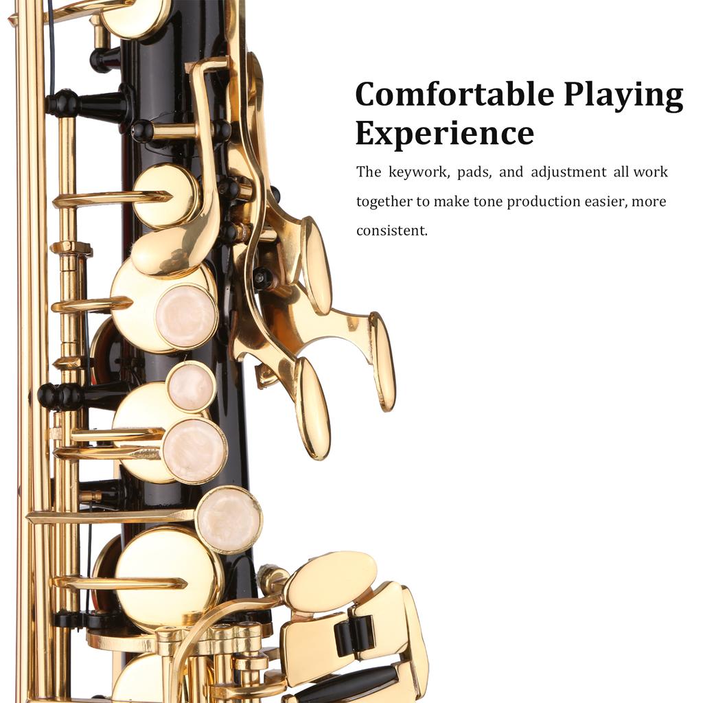 Saxophone Black Paint E-flat Sax for Beginner Student Intermediate Player Brass Eb Alto Saxophone