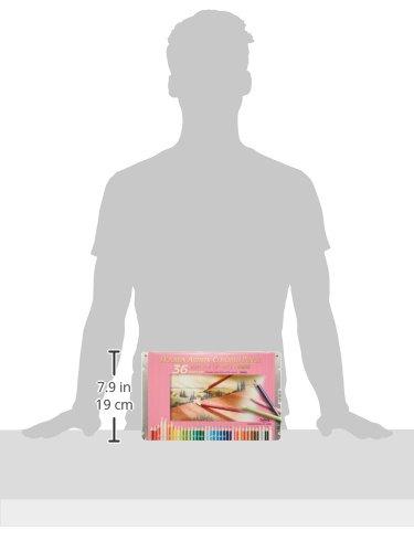 Holbein Artist Colored Pencils OP930 36-Color Set 20930