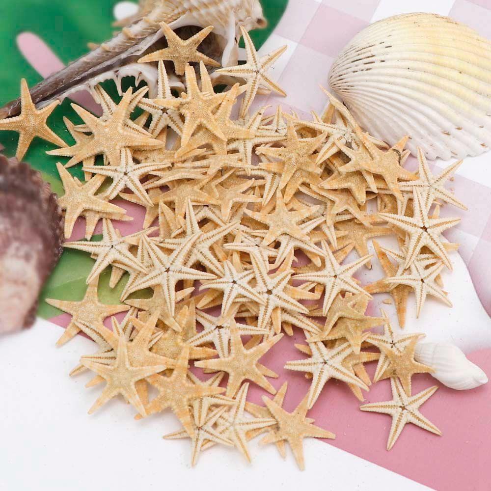 Conch Sea Shells for Aquatic Pet Starfish Fish Tank Decoration Aquarium Supplies Resin Casting
