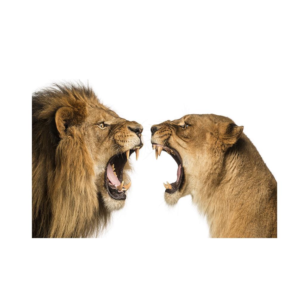 Тигр Леопард Голова Льва Животные Холст Стена Черно-белое Искусство В Темноте Поп Прохладное Искусство Современная Живопись Домашние Картины Украшения Плакаты Принты