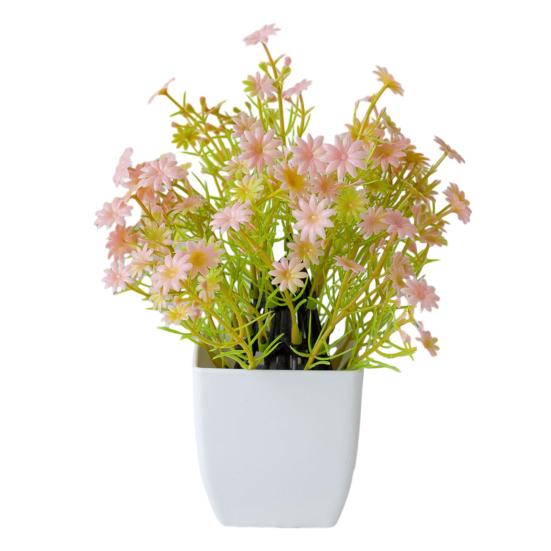 Красивые растения в горшках, не требующие полива, создают романтическую атмосферу