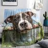 Pitbull and grass,pattern Flannel Blanket, High quality Comfortable for All Seasons, Home Decor, Warmth and Comfort, Perfect for Gifts.