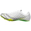 Кроссовки мужские Spitfire 5 White Slime S29055-75