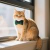 Ошейник для домашних животных с бантом, английский ошейник, ремень для кошек, гнездо для защиты головы кошки, ошейник для собак с бантом и колокольчиком для собак, кошек и кроликов