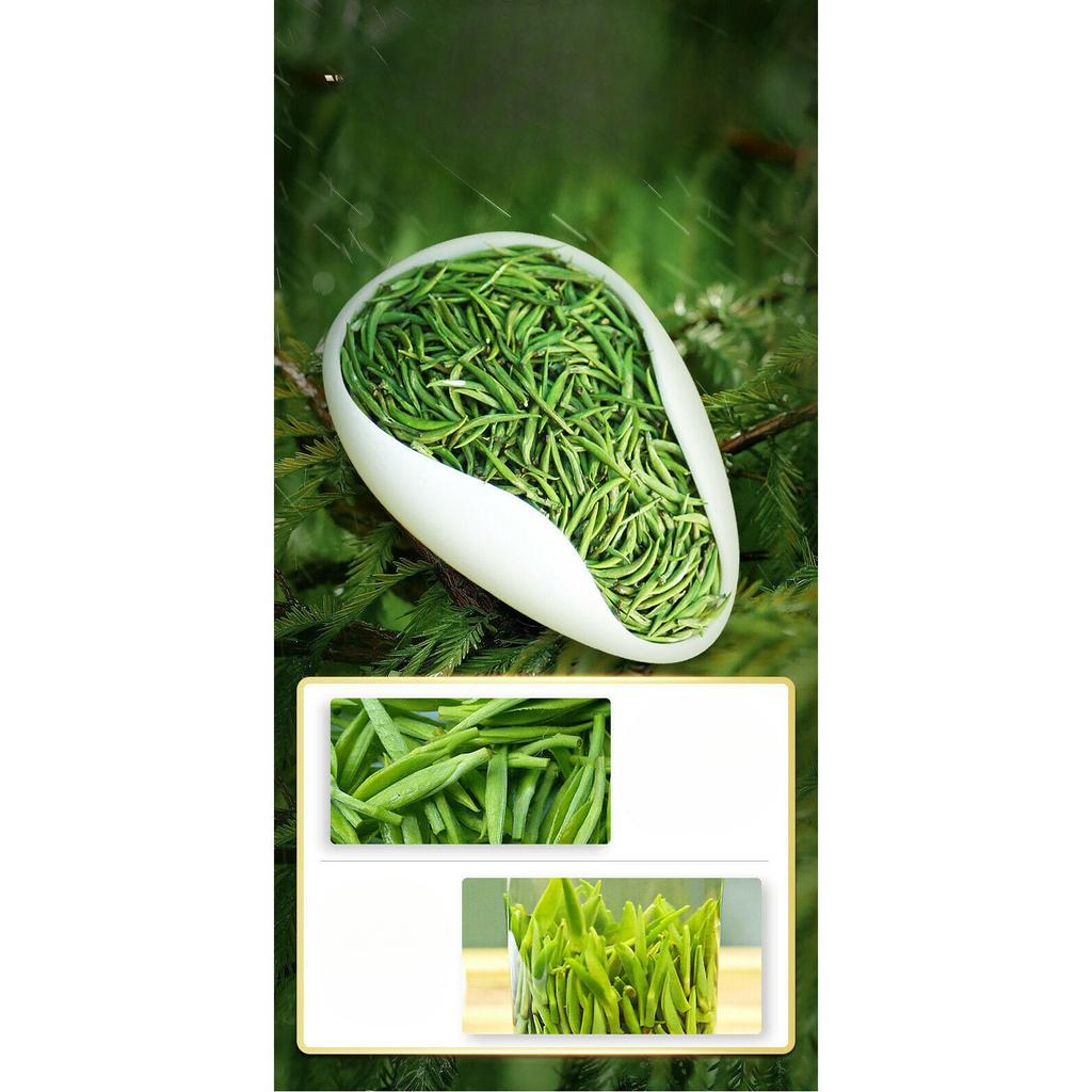 LEPINLECHA Ming Qian Silver Jar Que She   Chinese Green Tea 100g