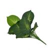 75cm Artificial Palm Evergreen Plastic Turtle Leaf New Fake Plants Leaf  Office
