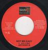 7inch Record ANTHONY B / FLOYD WEST - Not Mr Easy / Keep Trying NONE Birchill Record Jamaica Reggae, Ska & Dub Used
