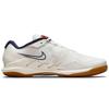 Nike Court Air Zoom Vapor Pro Summit White Binary Blue Men Sneakers Sail CZ0220-133