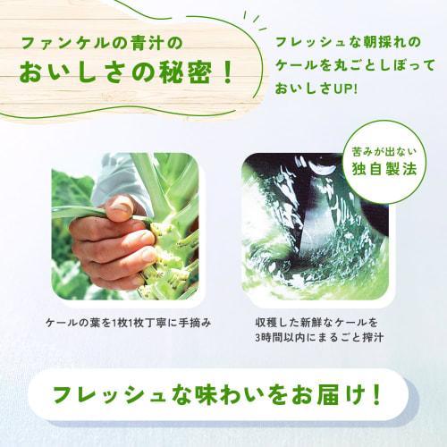 Fancl 1 Days Worth of Kale Green Juice 30 Bottles Powder Easy To Drink Health Food/vegetable Deficiency Domestic Kale Vegetables Kale Green Juice