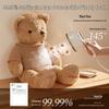 Bear Portable Handheld Garment Steamer & Mini Iron CN plug (adapter included)