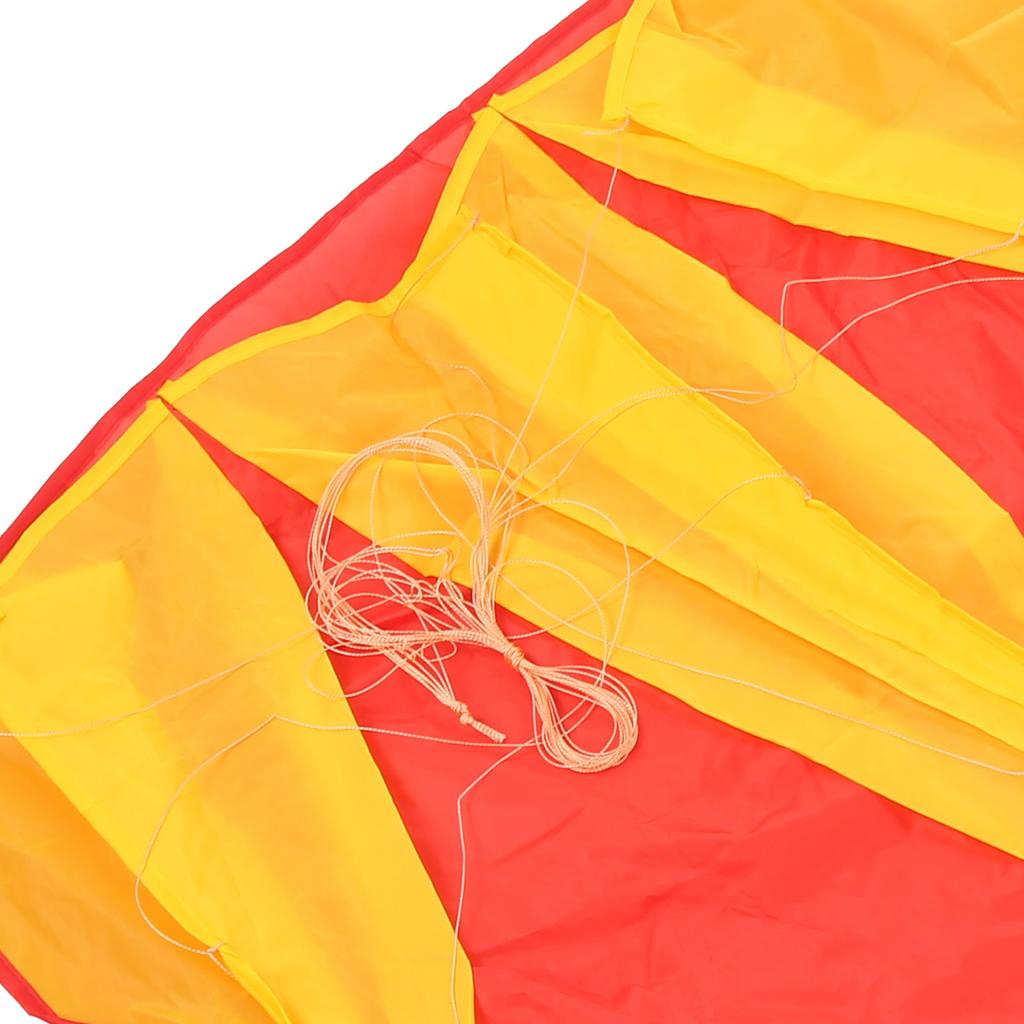Outdoor Soft Single Line Kite Animal Shape Kite 4 Meters with 30m Kite Line
