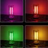 2Pcs Glass Material LED Filament Glass Bulb Eye Protection Retro Edison Bulb  Interior Decoration