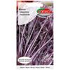 Mizuna Red Fresh Vegetable Seeds PREMIUM 2g