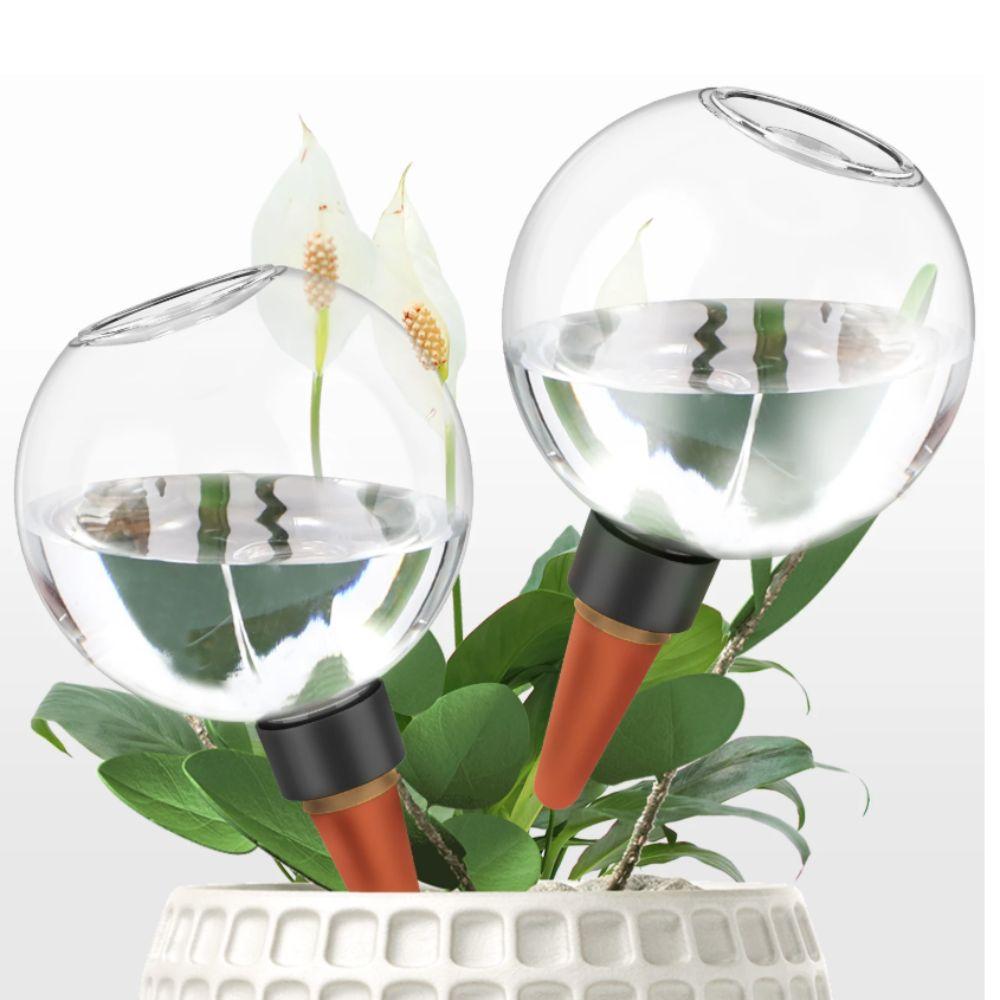 2pcs Tranaparent Self Watering Plant Watering Bulbs Flower Pot Seepage Water Globes  The Lazy