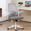 ZISIZ Ergonomic Office Chair