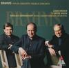 CD KREMER (GUIDON), BRAHMS, HARNONCOUR - Brahms: VN Concerto & Double Concer WPCS5908 Japan ObiClassical Used