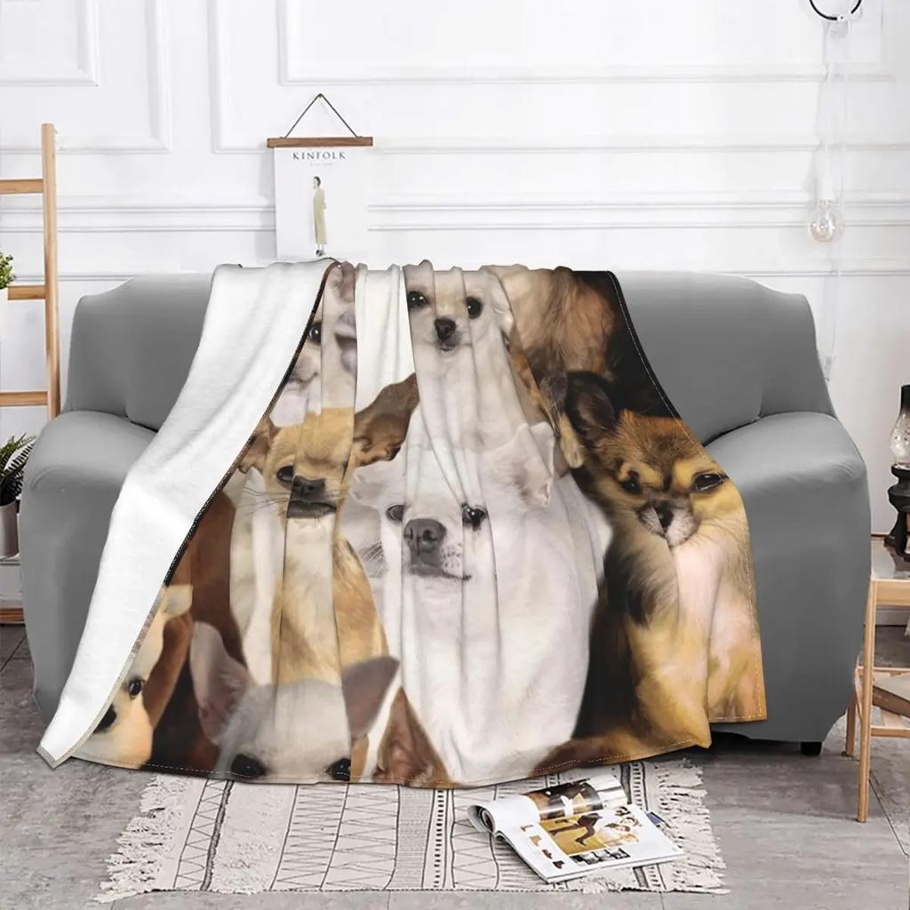 Шерстяные одеяла для собак чихуахуа, милые креативные пледы с животными из мультфильмов для дома, кусок ковра 200x150 см