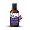 Lavender Essential Oil - 100% Pure & Natural & Undiluted By Zazla