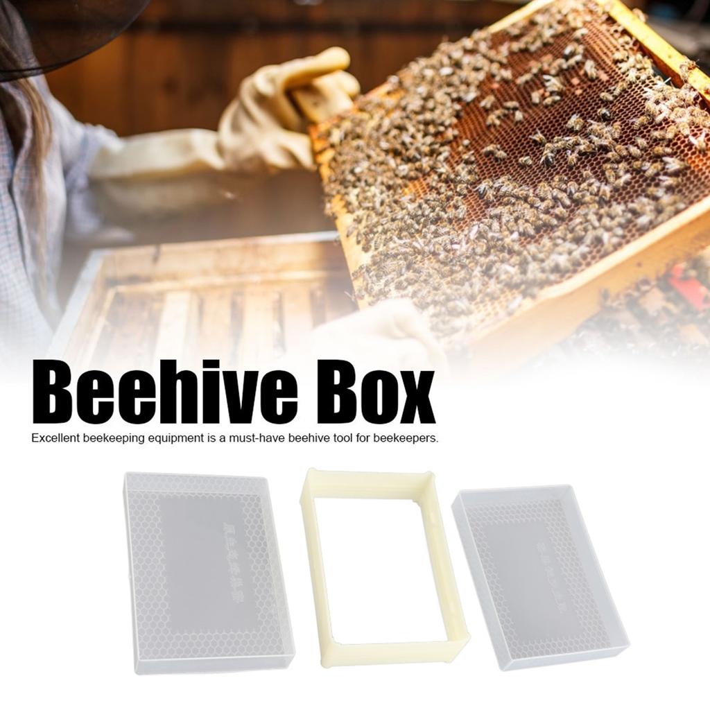 Plastic Beekeeping Comb Beehive Box Frame Set Kit Beekeeper Equipment