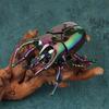 Wind Up Beetle Bionic Toys Creative Prankster Animated Insect Toy Model Beetle Children'S Battle Plastic Animals Wind Up Toy