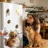 DIY Pet Hair Keepsake Box Transparent Pet Memorial Container  Pet Souvenirs