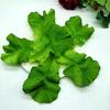 Decor Artificial Lettuce Leaves Decoration Kitchen Leaves
