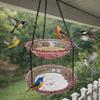 Flower Shaped Bird Bathtub Transparent Hummingbird Feeder Hanging Bird Feeder  Balcony