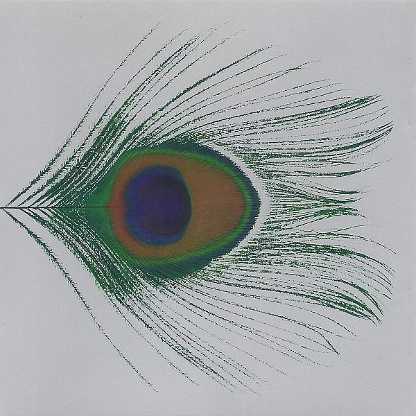 CD XTC - Apple Venus Volume 1 PCCY01341 Canyon Internat 1999 Japan Rock Used