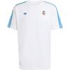 Оригинальная мужская футболка Real Madrid Terrace Icons JN3064