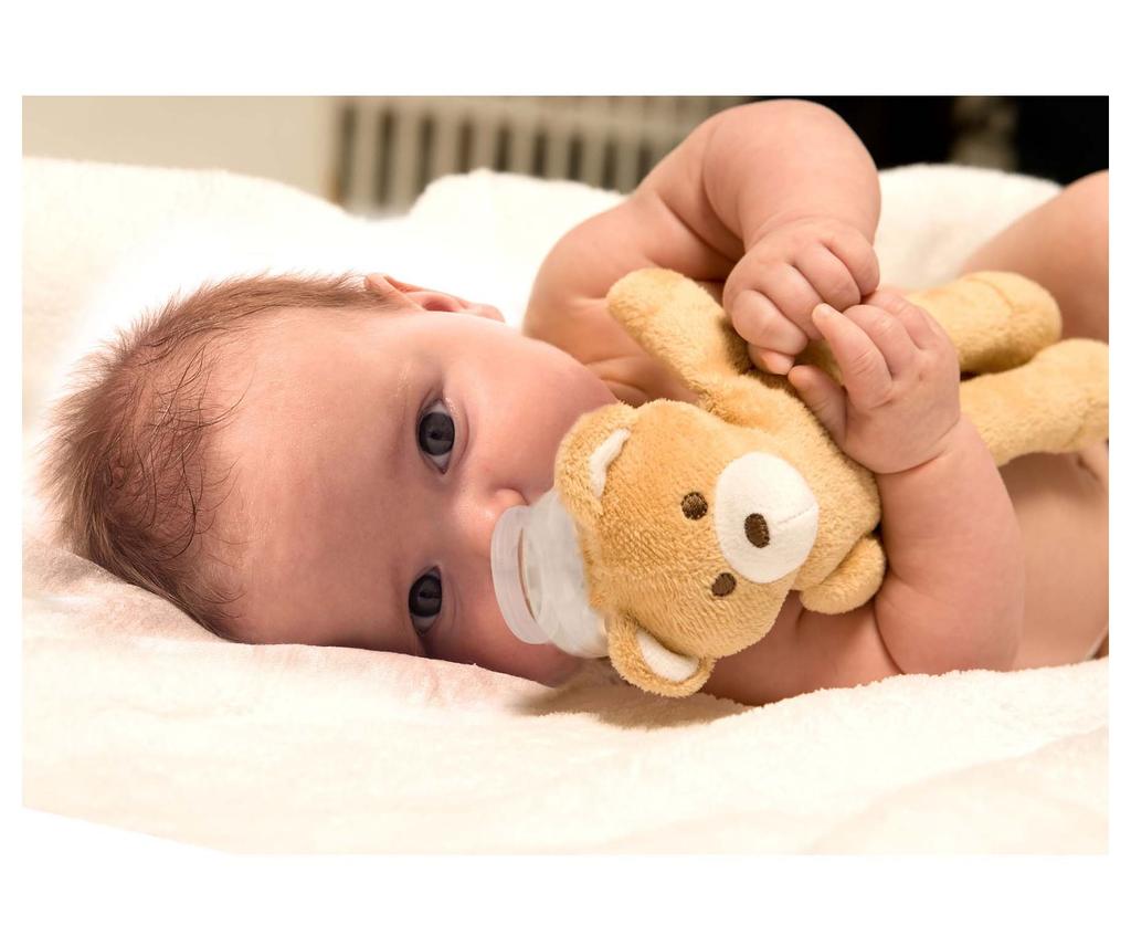 Papa Gino Pacifriends Pacifier Giraffe (PACF001)